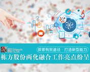 探索有效途徑，打造新型能力——棟方股份兩化融合工作亮點(diǎn)紛呈